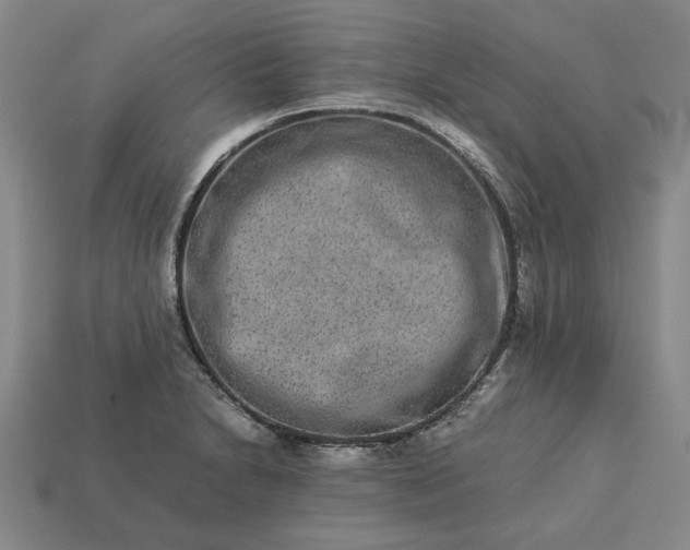 X0000113261230200909241516