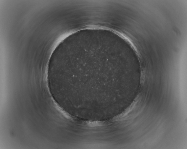 X0000113261231200909241516