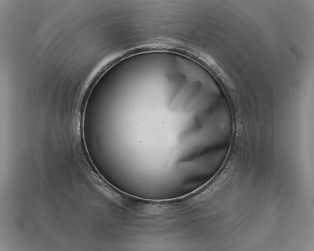 X0000113261232200909241516