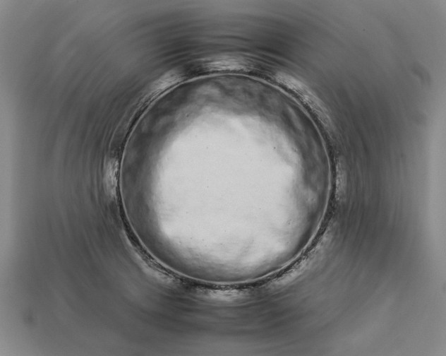 X0000113261233200909241516