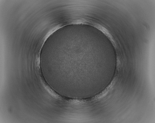 X0000113261234200909241516