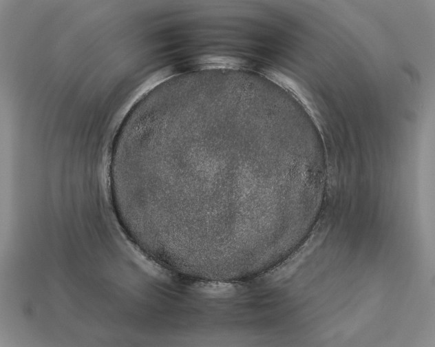 X0000113261235200909241516