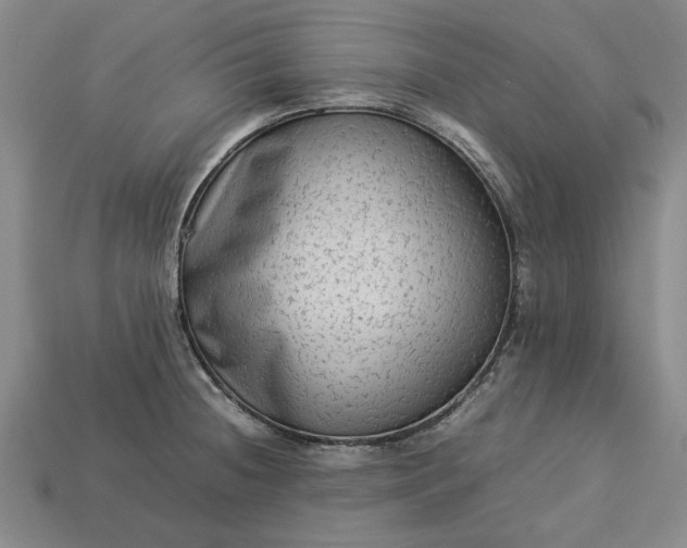 X0000113261236200909241516