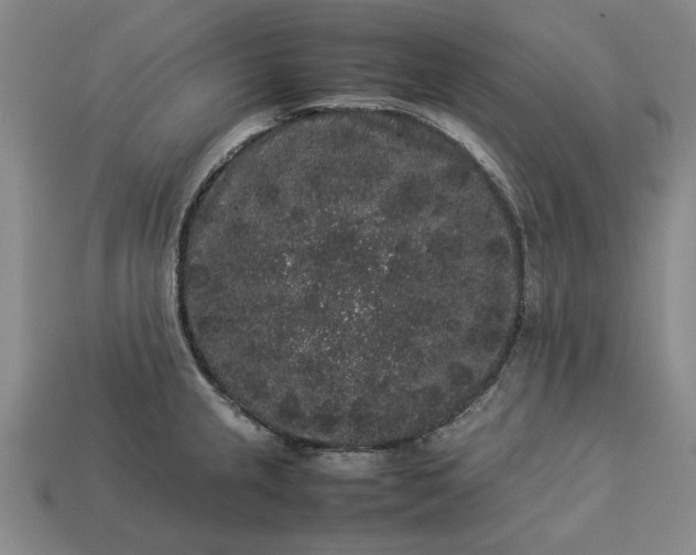 X0000113261237200909241516