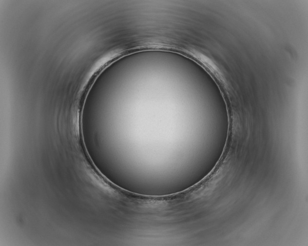 X0000113261238200909241516