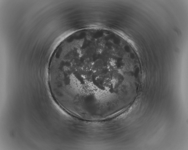 X0000113261239200909241516