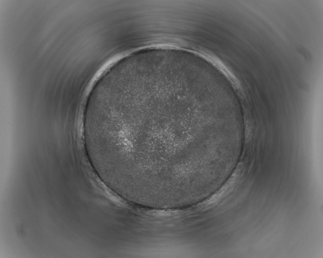 X0000113261240200909241516