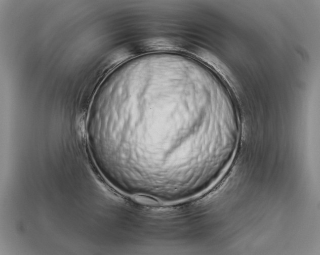 X0000113261241200909241516