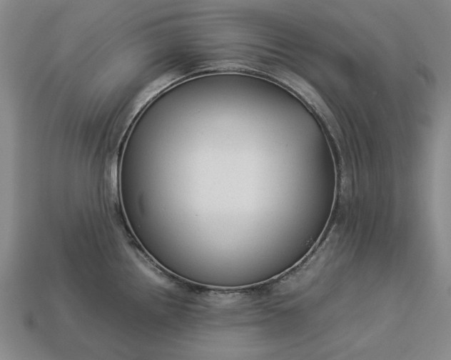 X0000113261242200909241516