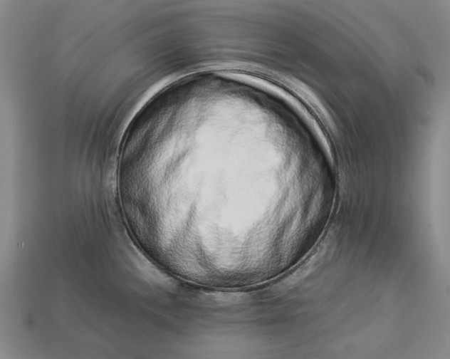 X0000113261244200909241516