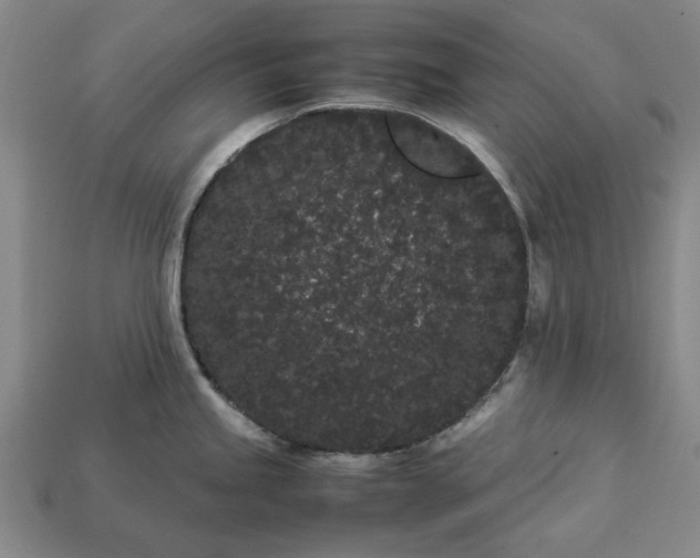 X0000113261245200909241516