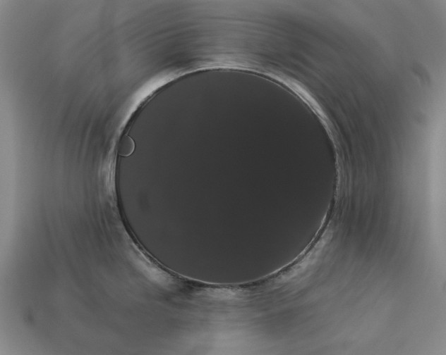 X0000113261246200909241516