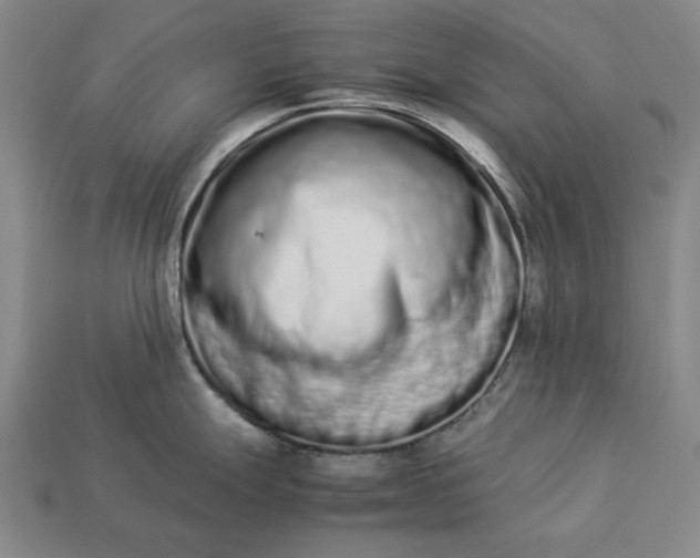 X0000113261247200909241516