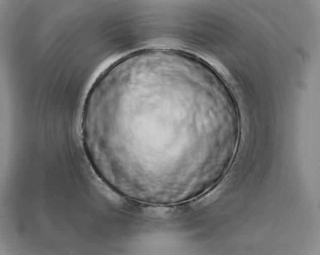 X0000113261248200909241516