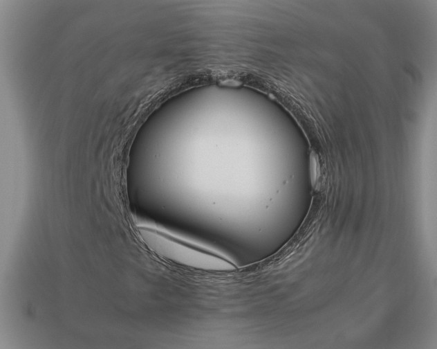 X0000113261249200909241515