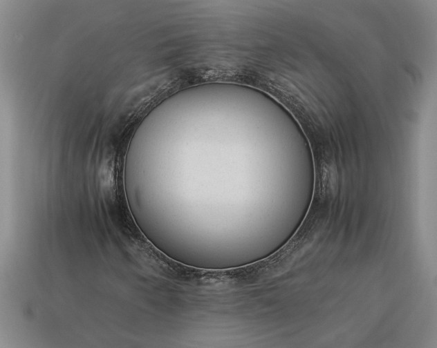 X0000113261250200909241515