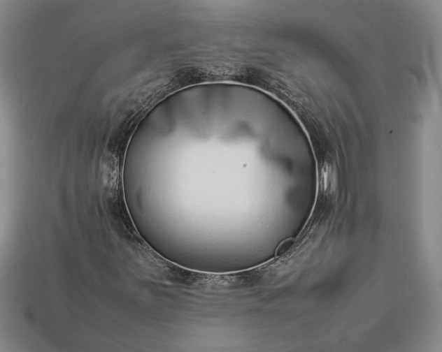 X0000113261251200909241515