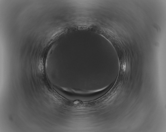 X0000113261252200909241515