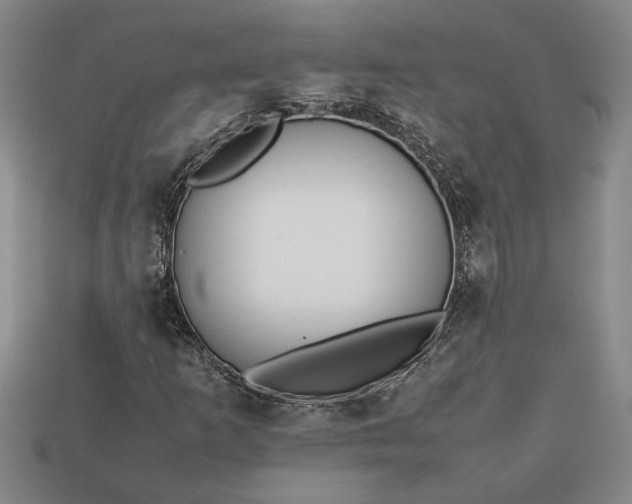 X0000113261253200909241515