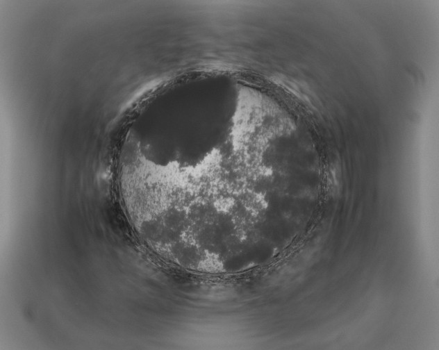 X0000113261254200909241515