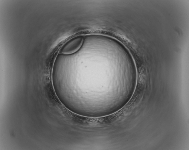 X0000113261255200909241515