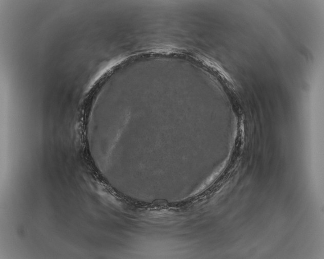 X0000113261256200909241515