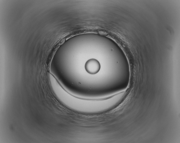 X0000113261257200909241515