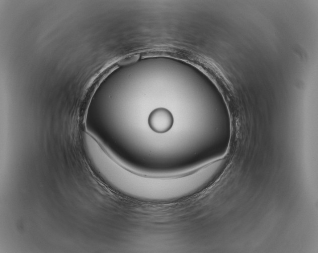 X0000113261260200909241515