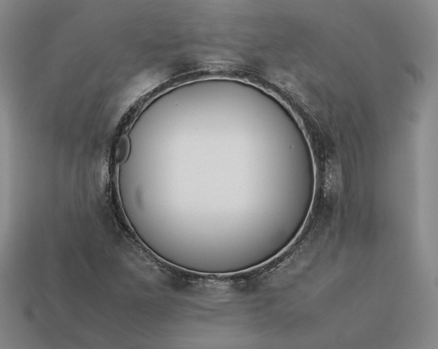 X0000113261261200909241515