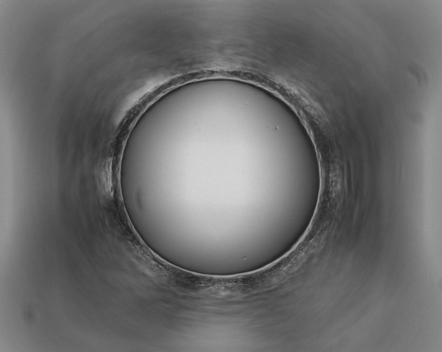 X0000113261262200909241515