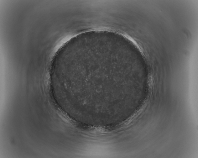 X0000113261263200909241515