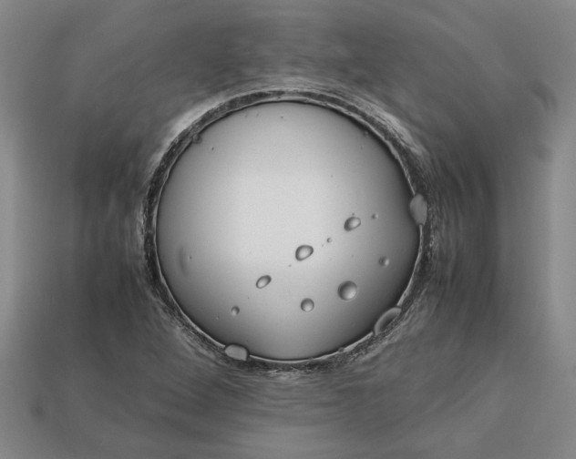 X0000113261264200909241515