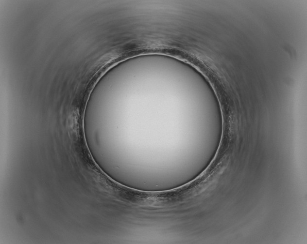 X0000113261265200909241515