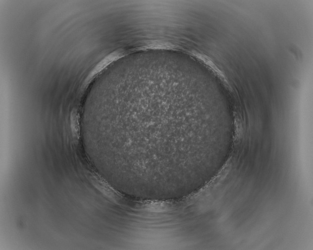 X0000113261266200909241515