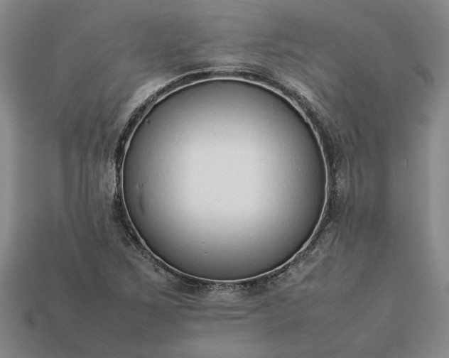 X0000113261267200909241515