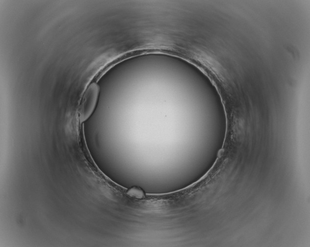 X0000113261268200909241515