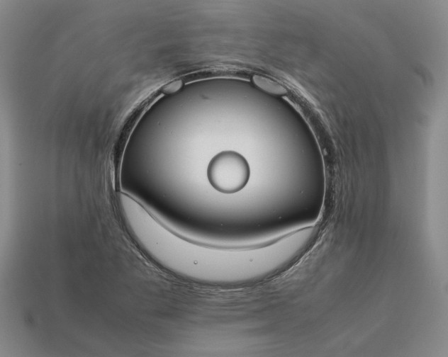 X0000113261269200909241515