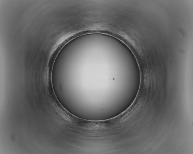 X0000113261270200909241515