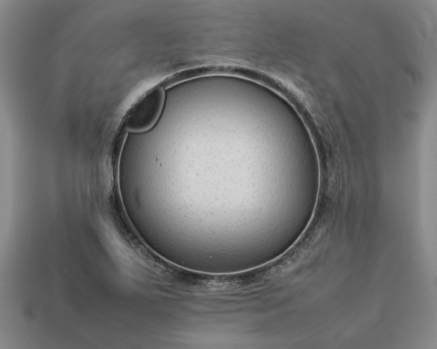 X0000113261271200909241515