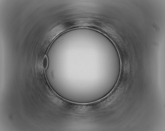 X0000113261273200909241515