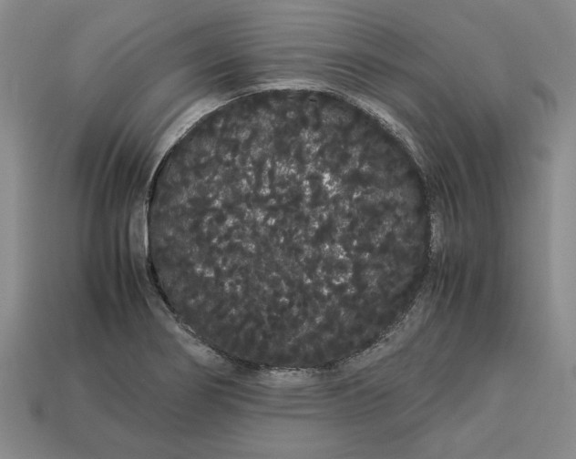 X0000113261274200909241515