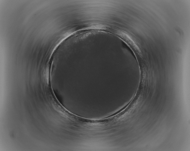 X0000113261276200909241515