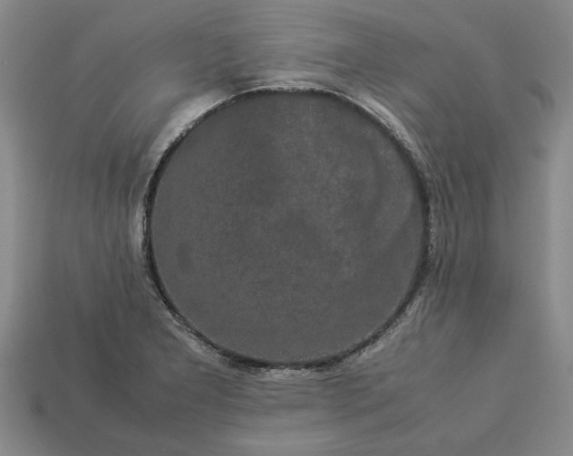 X0000113261277200909241515