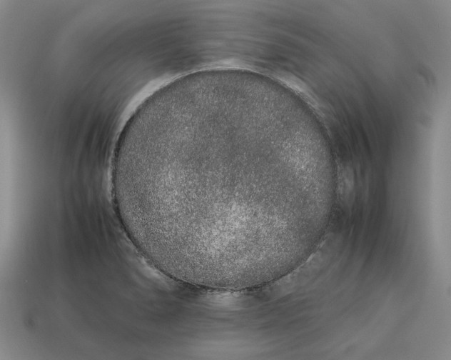 X0000113261278200909241514