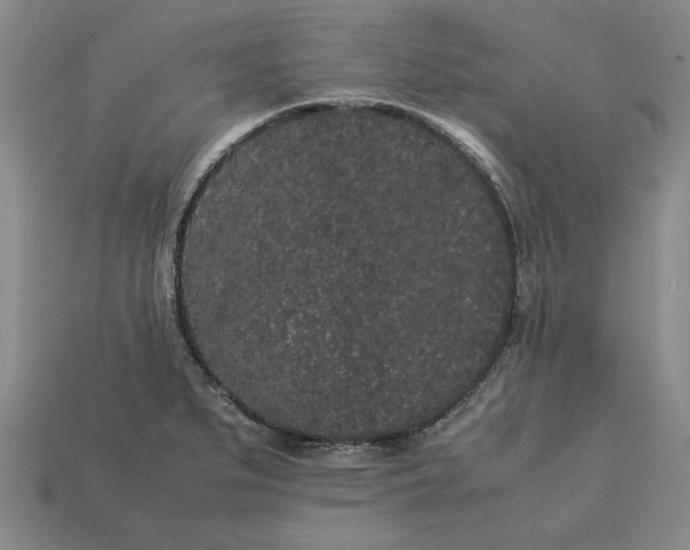 X0000113261279200909241514