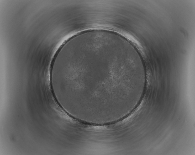 X0000113261280200909241514