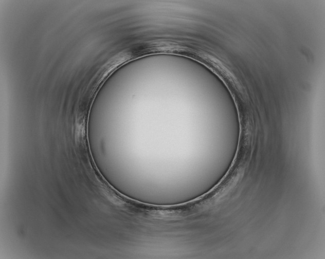 X0000113261281200909241514