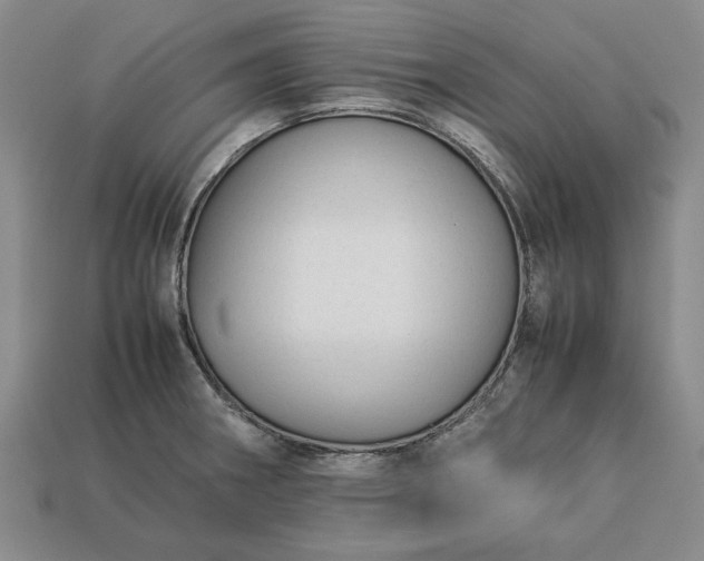 X0000113261282200909241514