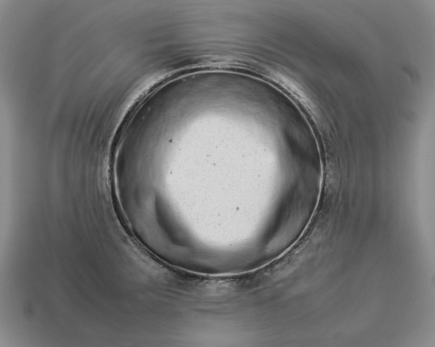 X0000113261283200909241514