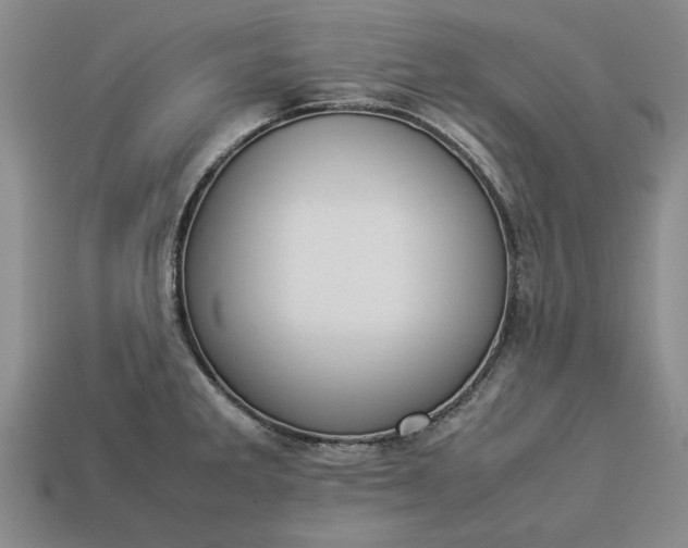 X0000113261285200909241514